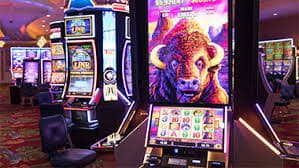 kfc casino